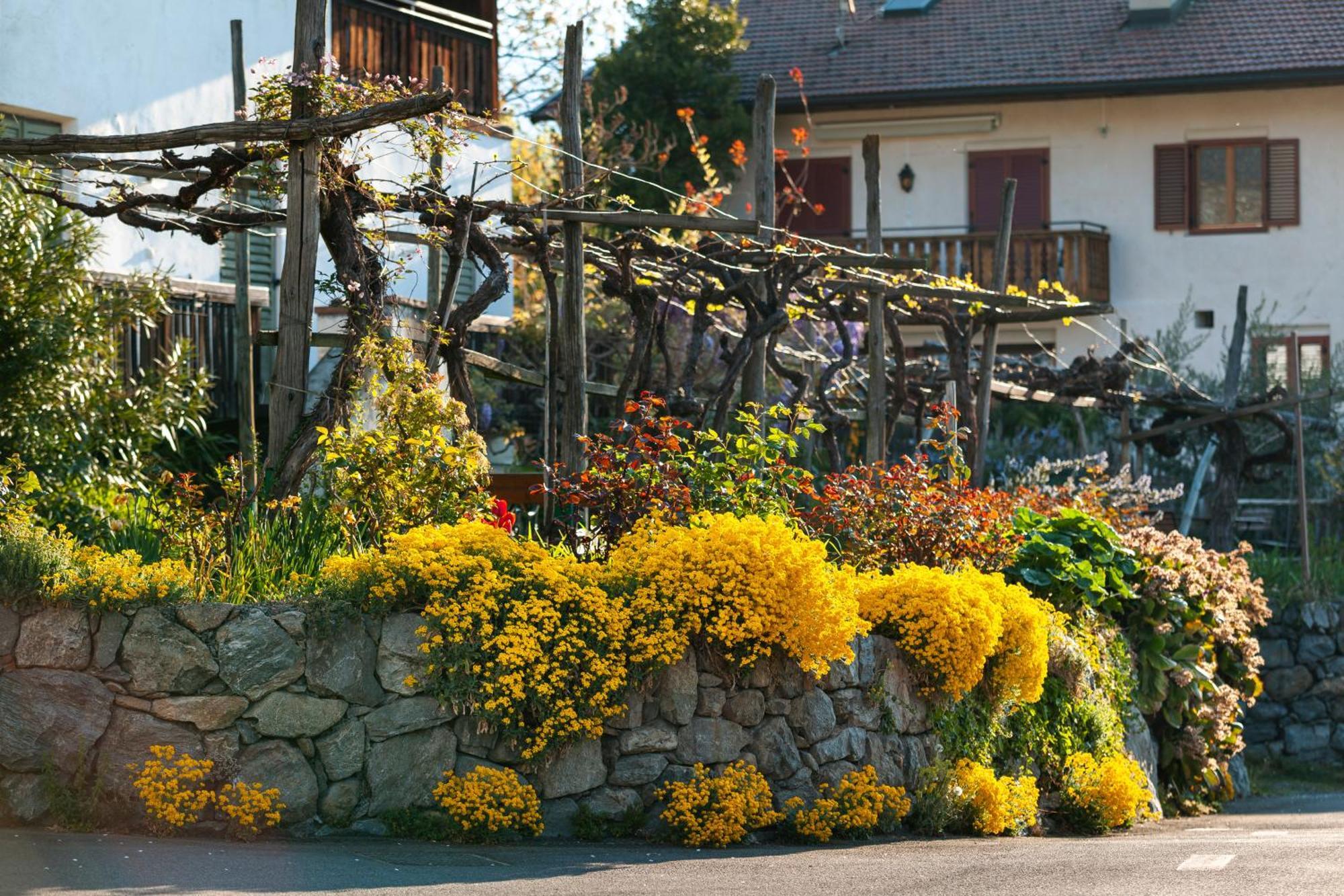 Ferienwohnungen St Hippolyt Mit Hallenbad Lagundo Exterior foto